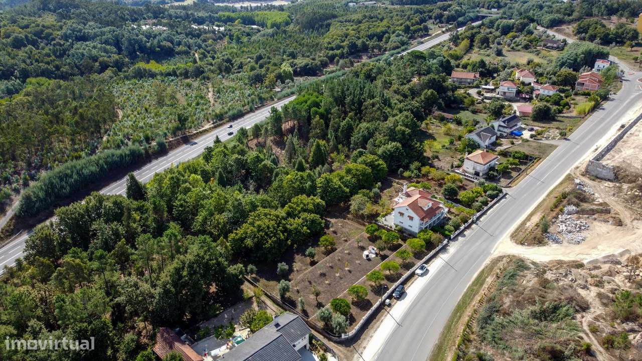 Quinta T6, Viseu, Santa Comba Dão, Santa Comba Dão e Couto do Mosteiro - Grande imagem: 5/57