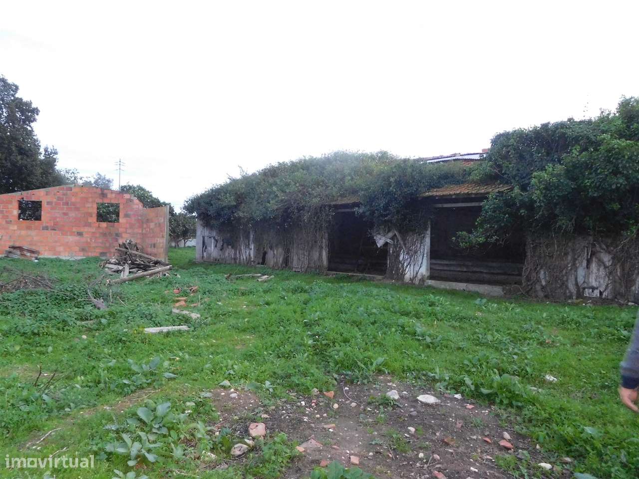 Quinta com Moradia T5 / Restaurar / Carvide / Leiria-20