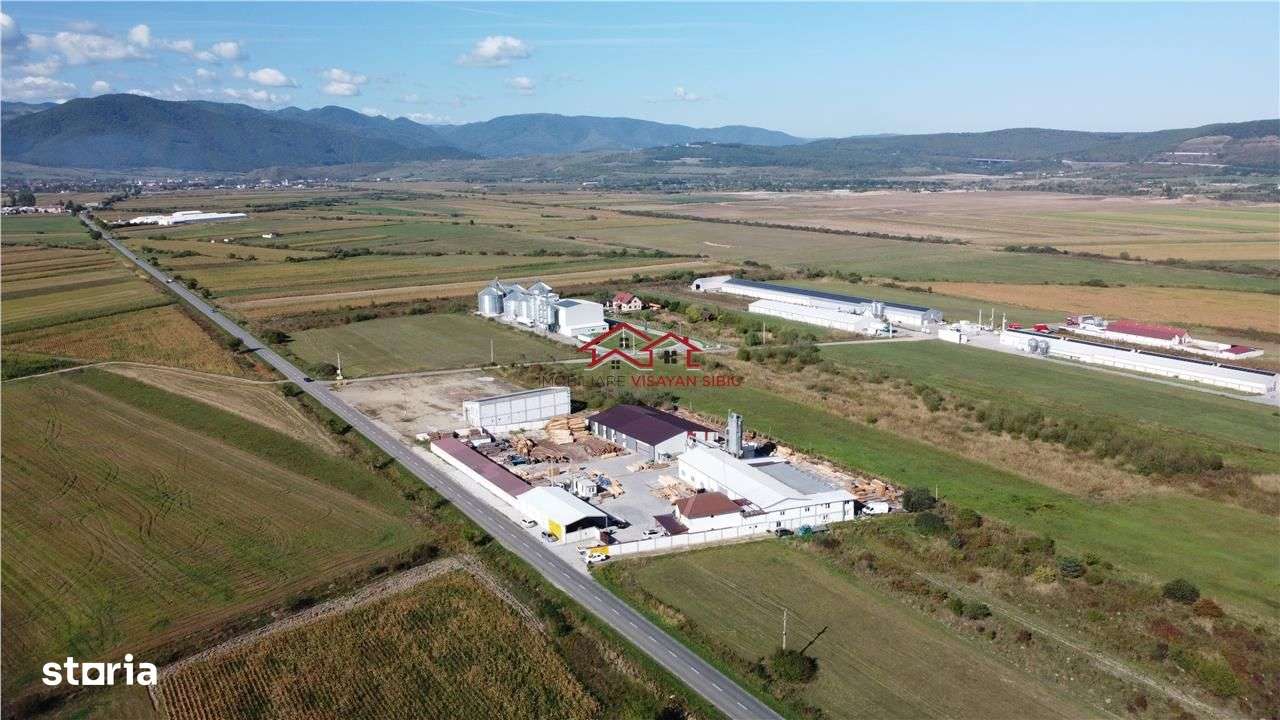 Oportunitate investi&#539;ie prelucrare lemn, Cristian,jud.Sibiu-1