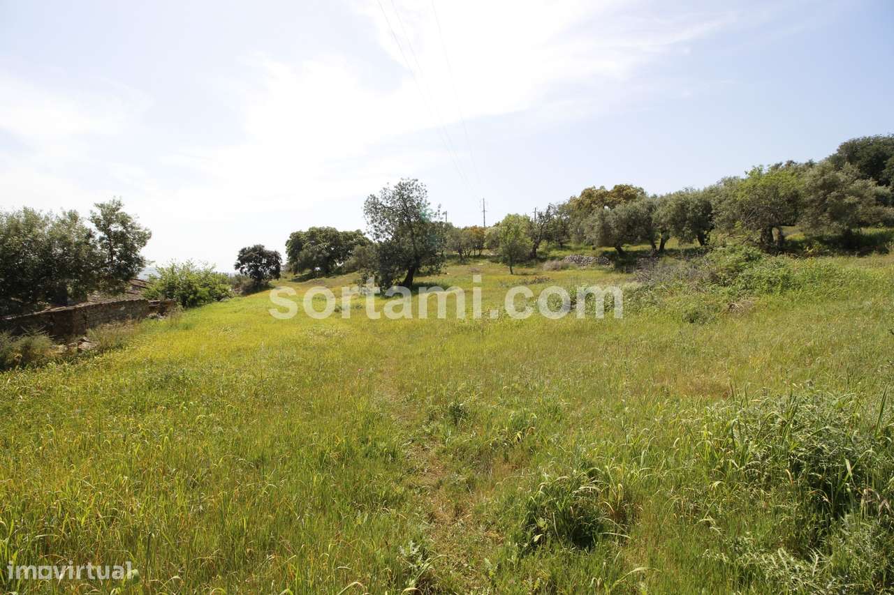 Hotel  Venda em São Brás de Alportel,São Brás de Alportel - Grande imagem: 5/17
