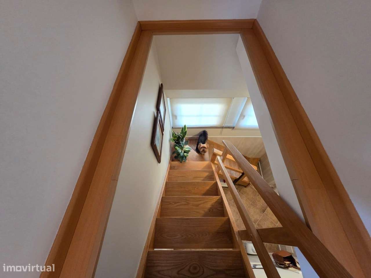 Moradia T2+1 com Anexo Independente, Jardim e Garagem – Rinchoa-37