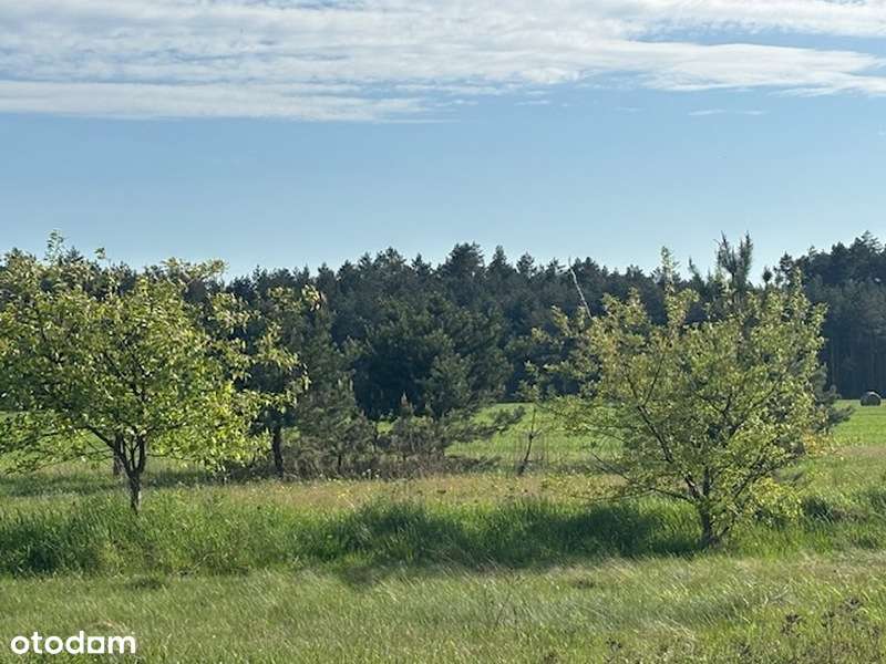 Działka pod inwestycje w pobliżu Kamiennogórskiej SSEMP!!!-7