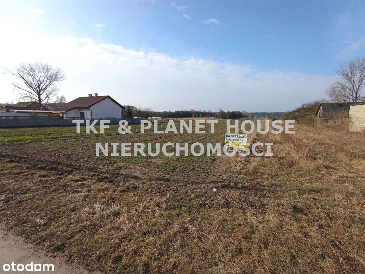 Działki budowlane 6547 m2 Dąbrowa gm. Lubochnia - Pełny obrazek: 4/6