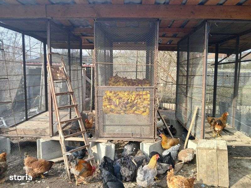 Mini ferma autonoma in Vaida Camaras - Imagine principală: 5/7