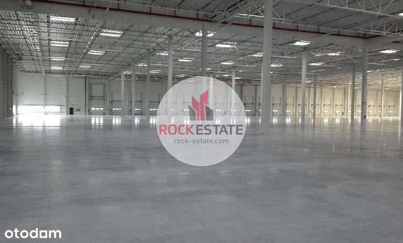 Magazyn 6000 m² od zaraz - 0% prowizji - Widok 3
