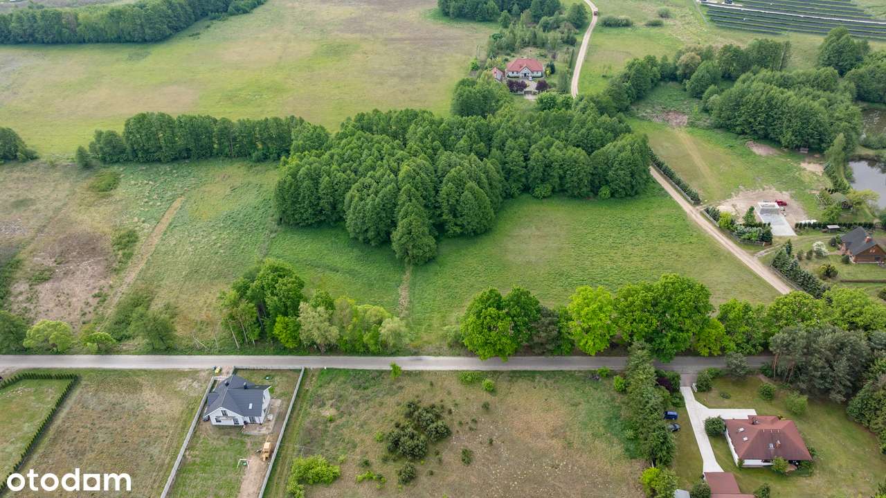 Piękne działki budowlane ze starodrzewiem pod Nowym Tomyślem-8