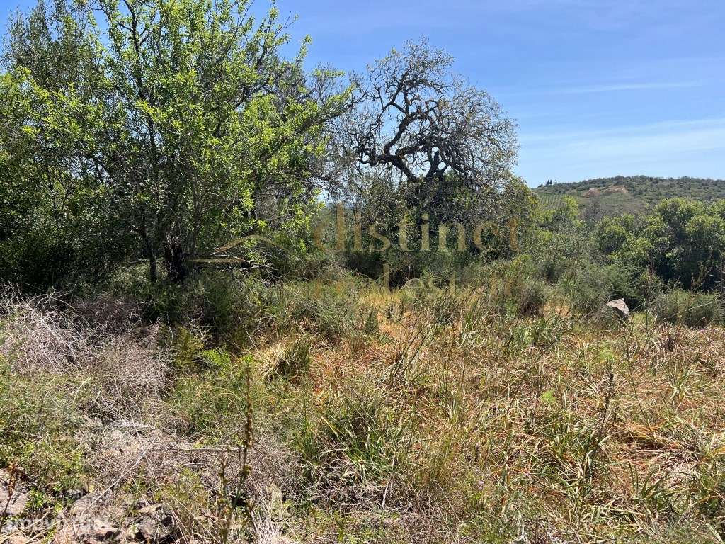 Terreno com Ruina Geminada de 117m2 voltado a Sul ! - Grande imagem: 5/24