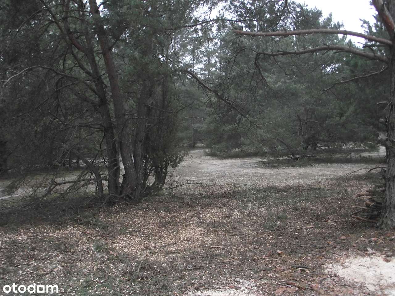 Sprzedam działki rekreacyjno - budowlane (3000m2) - Pełny obrazek: 5/8