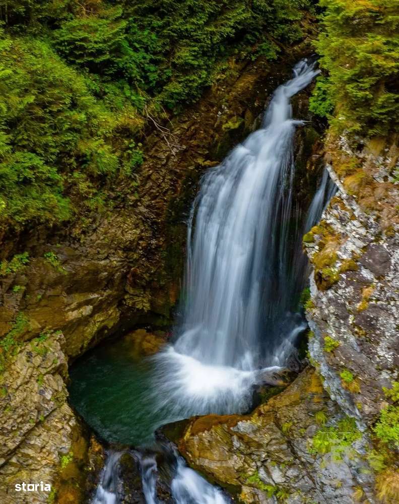 Teren Intravilan Pajiste si Padure-0