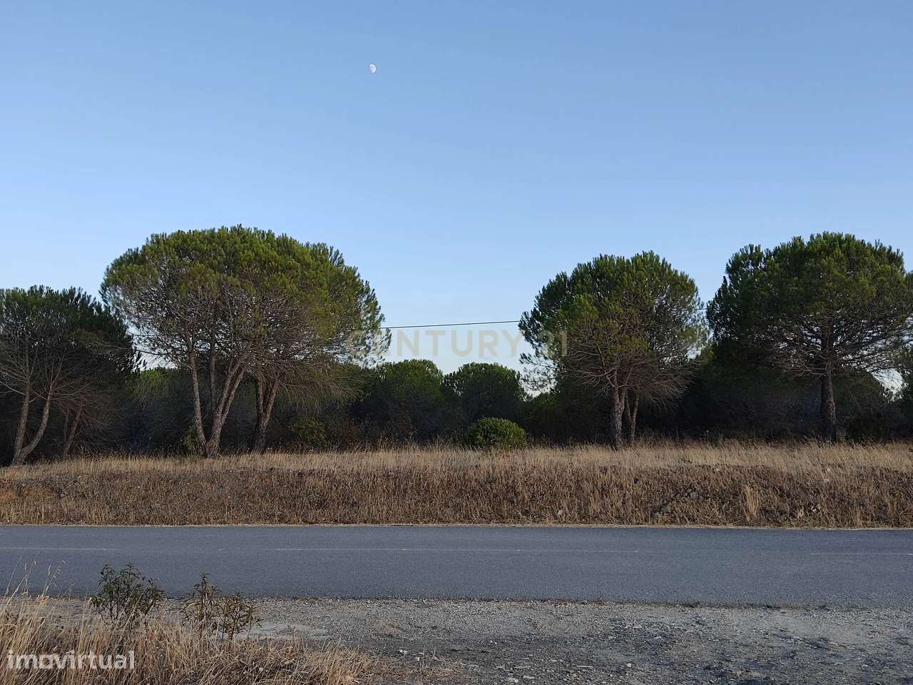 Terreno de 23 Hectares, junto à Barragem da Bravura. - Grande imagem: 5/7