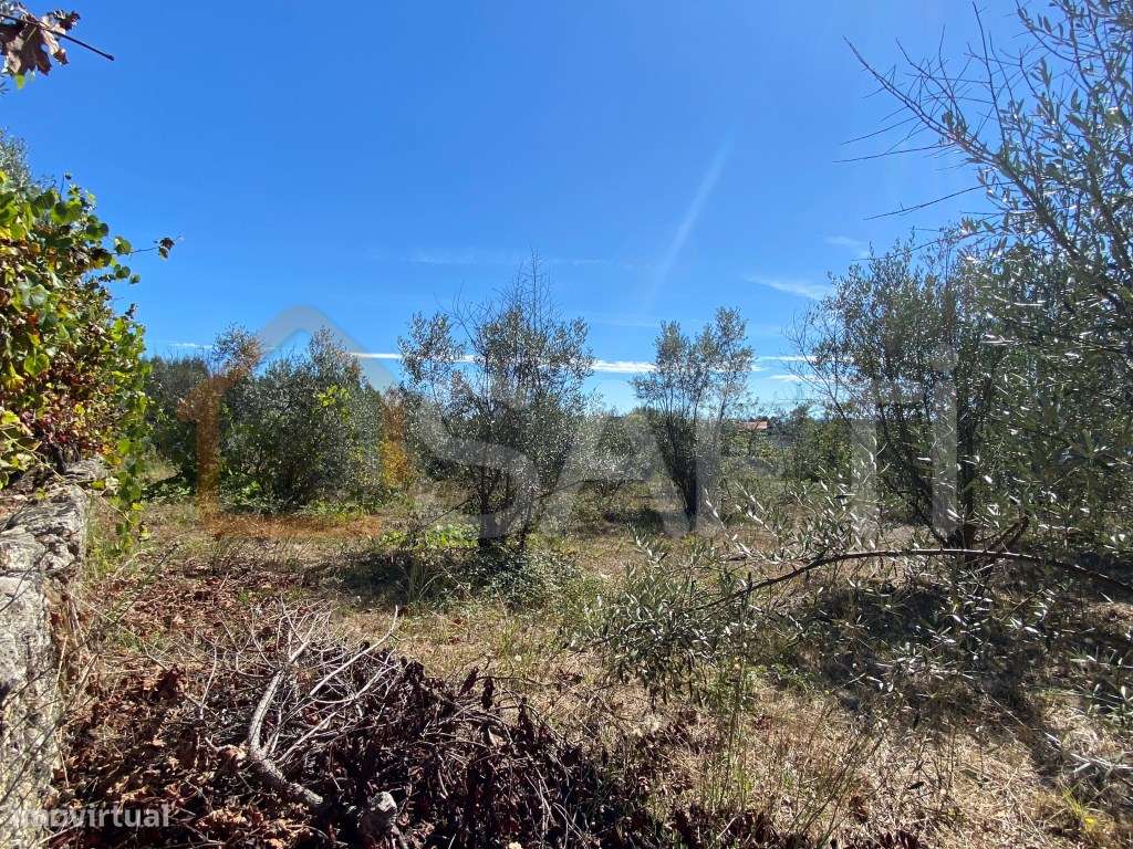 Terreno Rústico em Lajeosa do Dão Tondela Viseu Rio Dão - Grande imagem: 5/12