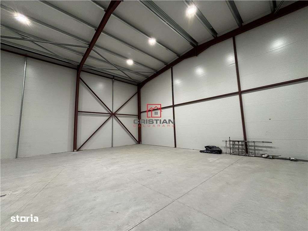 Vanzare depozithalaspatiu industrial Theodor Pallady - Drumul Intre Ta - Imagine principală: 4/20