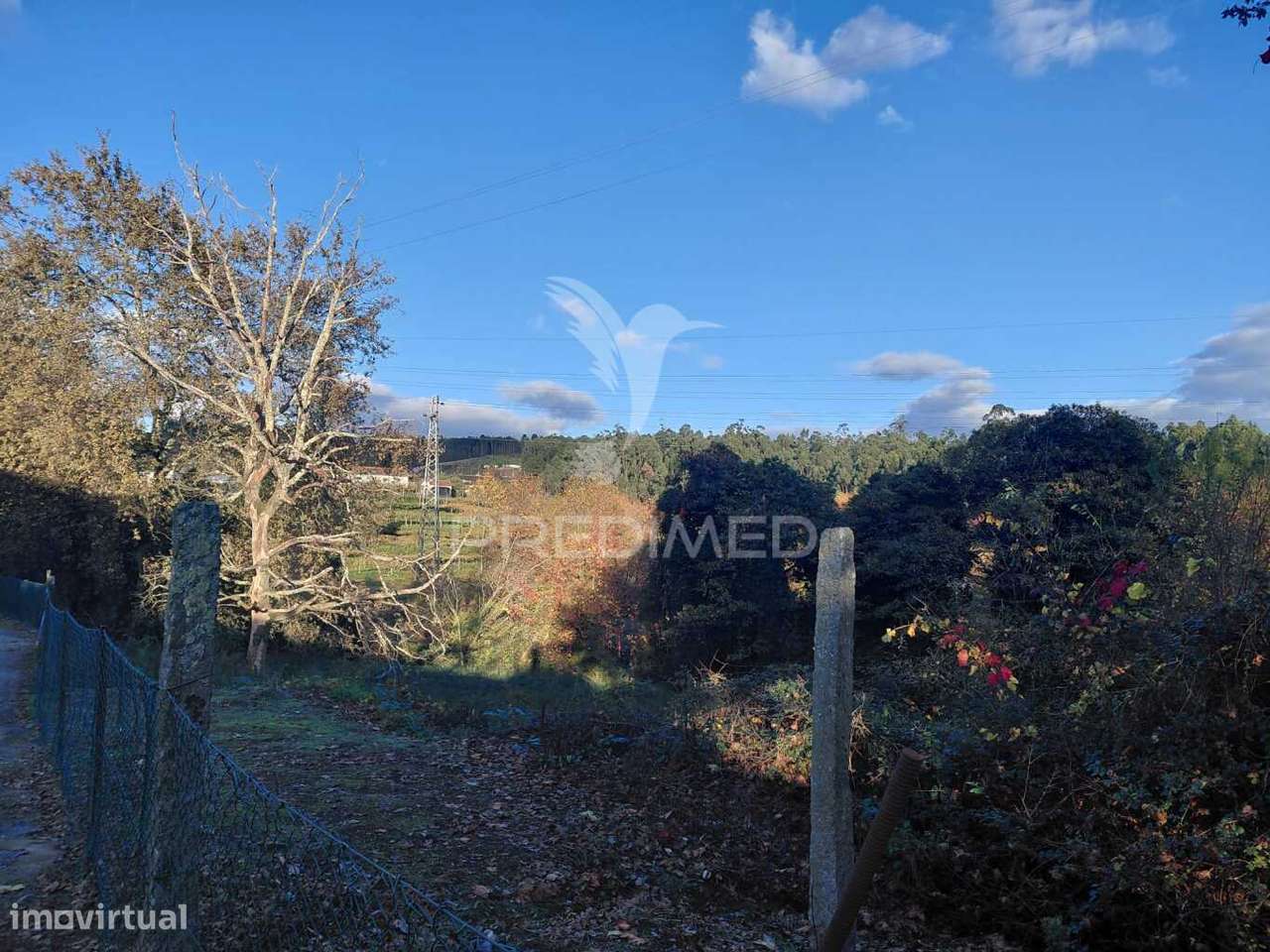 Terreno misto em Friande - Grande imagem: 4/5