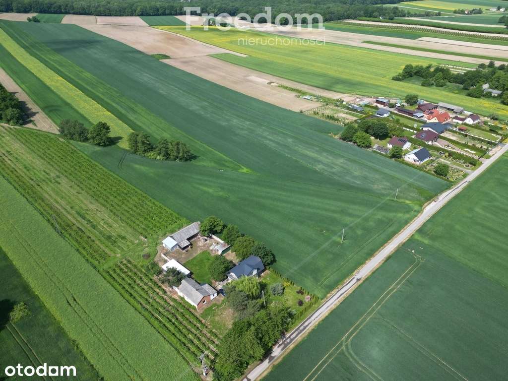 Działka rolno-budowlana w gminie Krzczonów - Pełny obrazek: 4/7