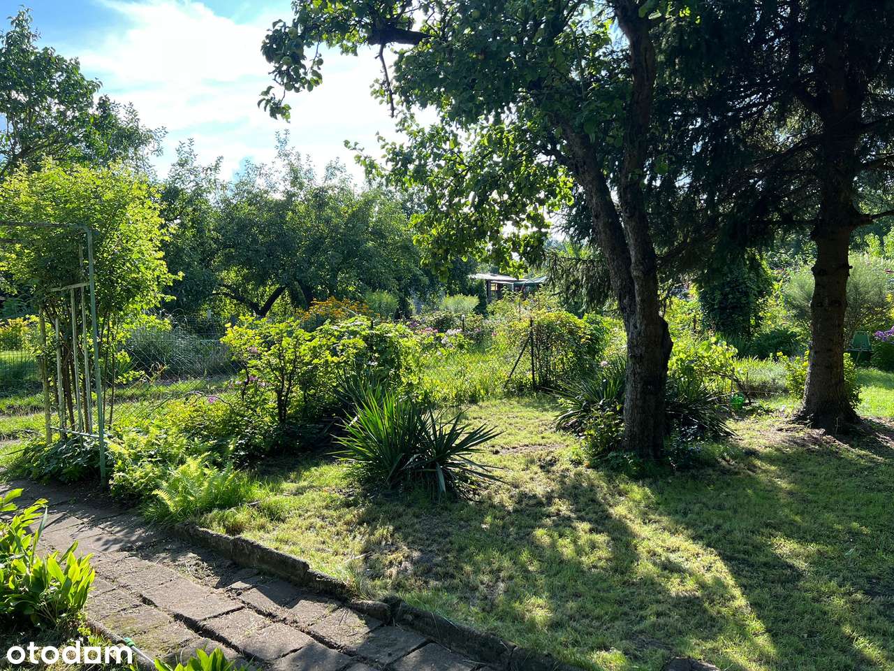 Działka ROD, Bogdanka, Pułaskiego, Sołacz, Rekreacja-5