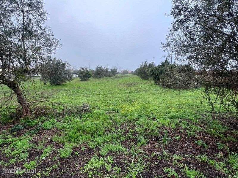 Terreno para construção - 7.076,49 m2 - Centro de Condeixa - Grande imagem: 4/12