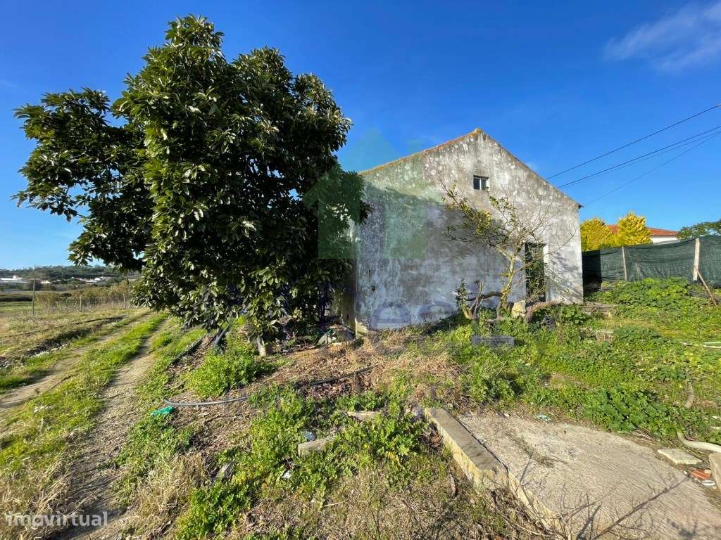 TERRENO RÚSTICO | AMOREIRA | OBIDOS - Grande imagem: 5/14