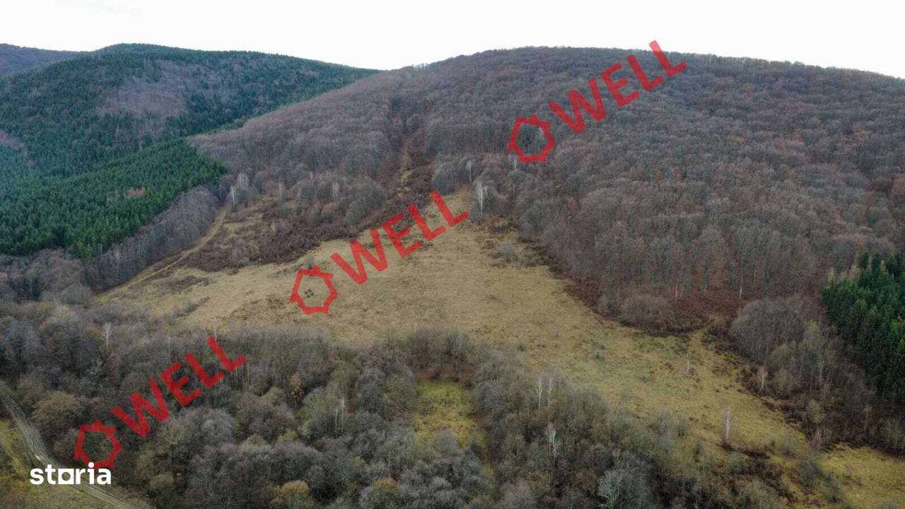 De vânzare teren extravilan în loc.Malnaș - Imagine principală: 4/7