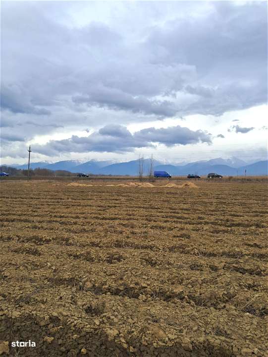 Teren extravilan Avrig-3