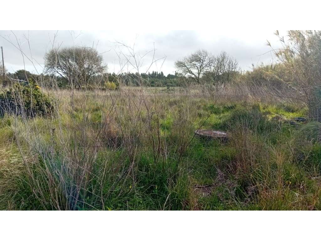 Terreno rústico com Furo de Água | Infraestruturas | Associação de ...-1