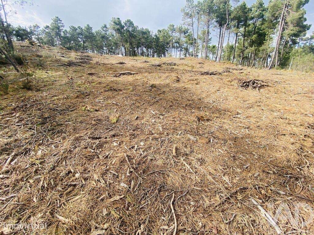 Terreno para construção em Mouçós e Lamares de 3484,00 m2 - Grande imagem: 4/27
