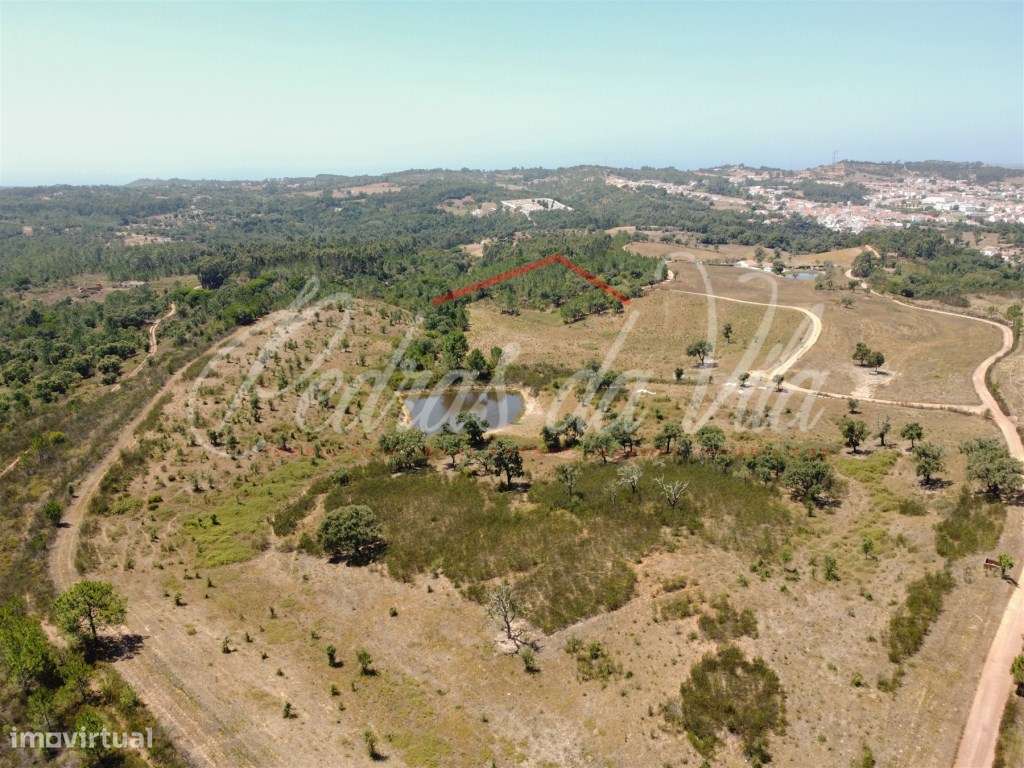 Quinta de 25ha com projeto aprovado - São Teotónio - Odemira-12