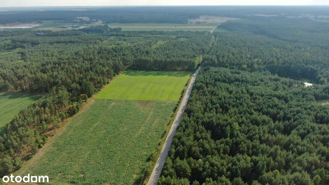 Działki pod lasem – Twój dom na Kaszubach - Pełny obrazek: 3/6