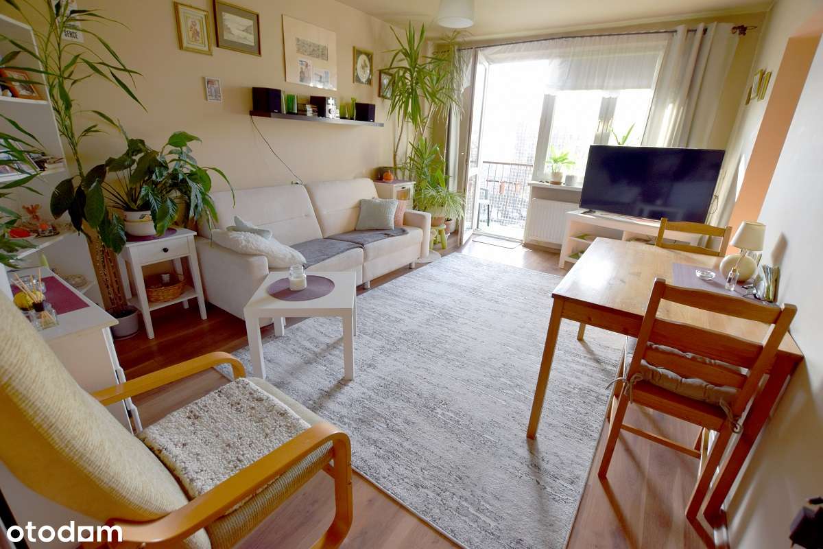 Jasne, ciche, 3 pokojowe- blisko tramwaj i autobus-0