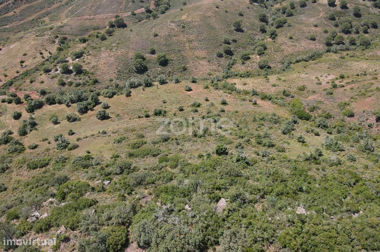 Terreno rústico c/poço em Gralheira com 21.760m2, Messines - Grande imagem: 4/13