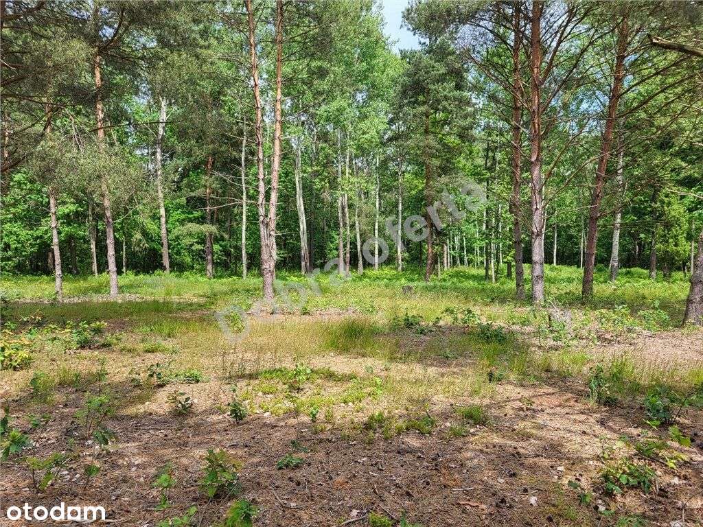 Nowa oferta - dobra cena - miejsce na wypoczynek-7