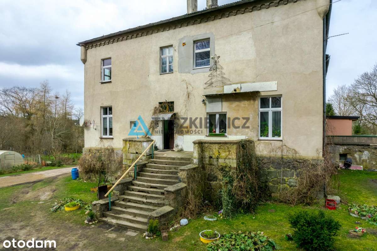 Mieszkanie W Pałacu W Jerzkowicach - Pełny obrazek: 5/20