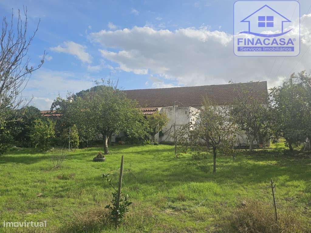 EXCLUSIVO - Quinta com 2069 m2, T1 e um armazém - Asseiceira(Palmela)-7
