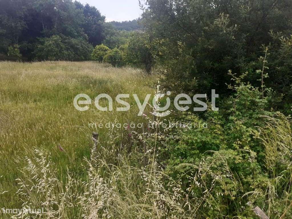 Fantástico Terreno com, localizado na freguesia de Castelões - Grande imagem: 4/17