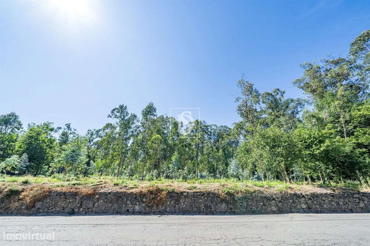 Terreno misto com potencial de construção em Barcelos-16