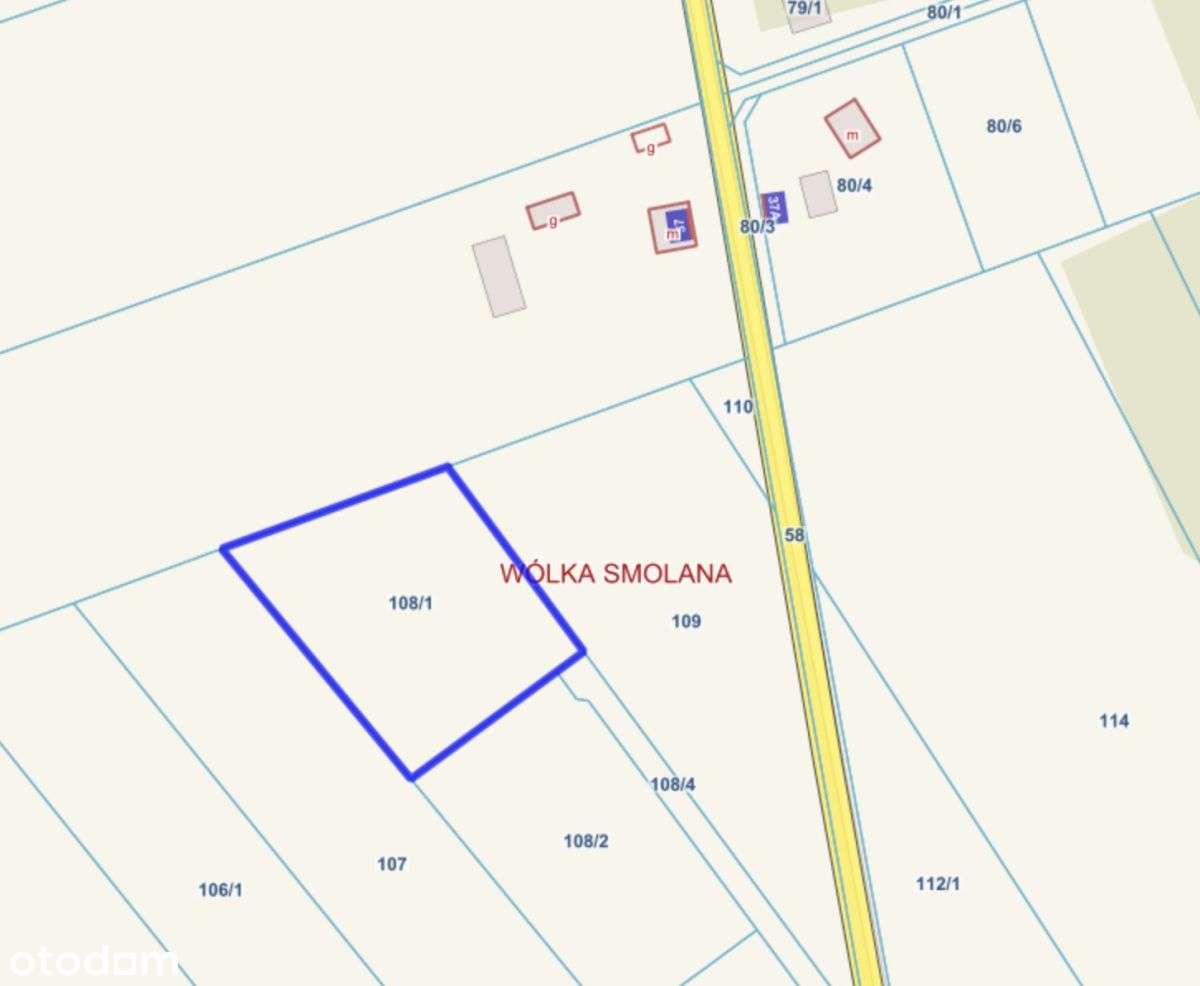 Wólka Smolana, gm. Brochów, media, las-0