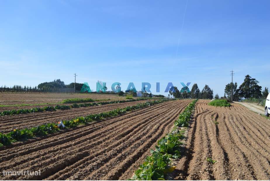 ANG157 - Terreno para Venda em Aveiras de Cima - Grande imagem: 5/13