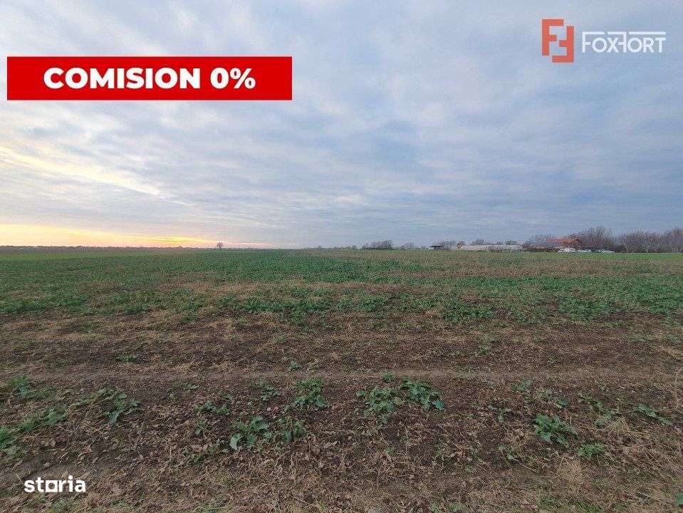 COMISION 0% Teren extravilan 20.000 mp la sosea in Sag - Imagine principală: 3/6