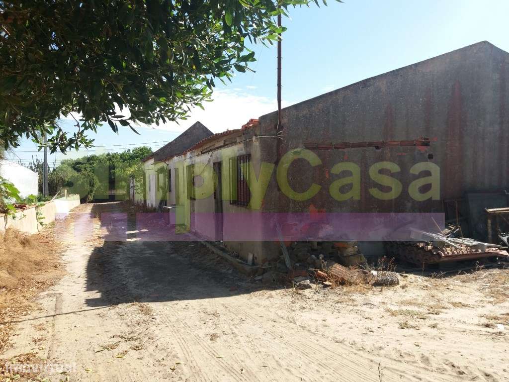 Moradia Ruina junto BA6 Montijo inserida em terreno c/ 3 ha-7