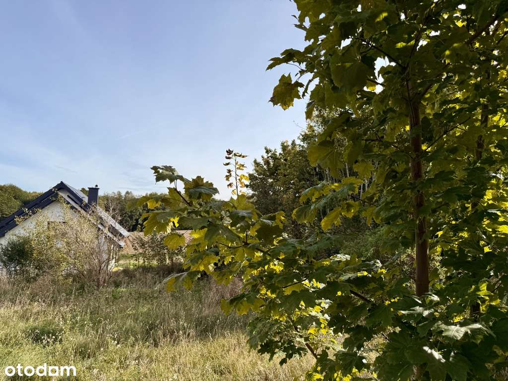 Michalin | bajeczna działka | dom - Pełny obrazek: 3/17