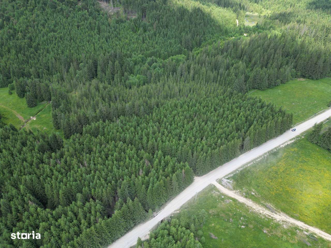 Teren extravilan 5000 MP Comandau - Imagine principală: 3/13