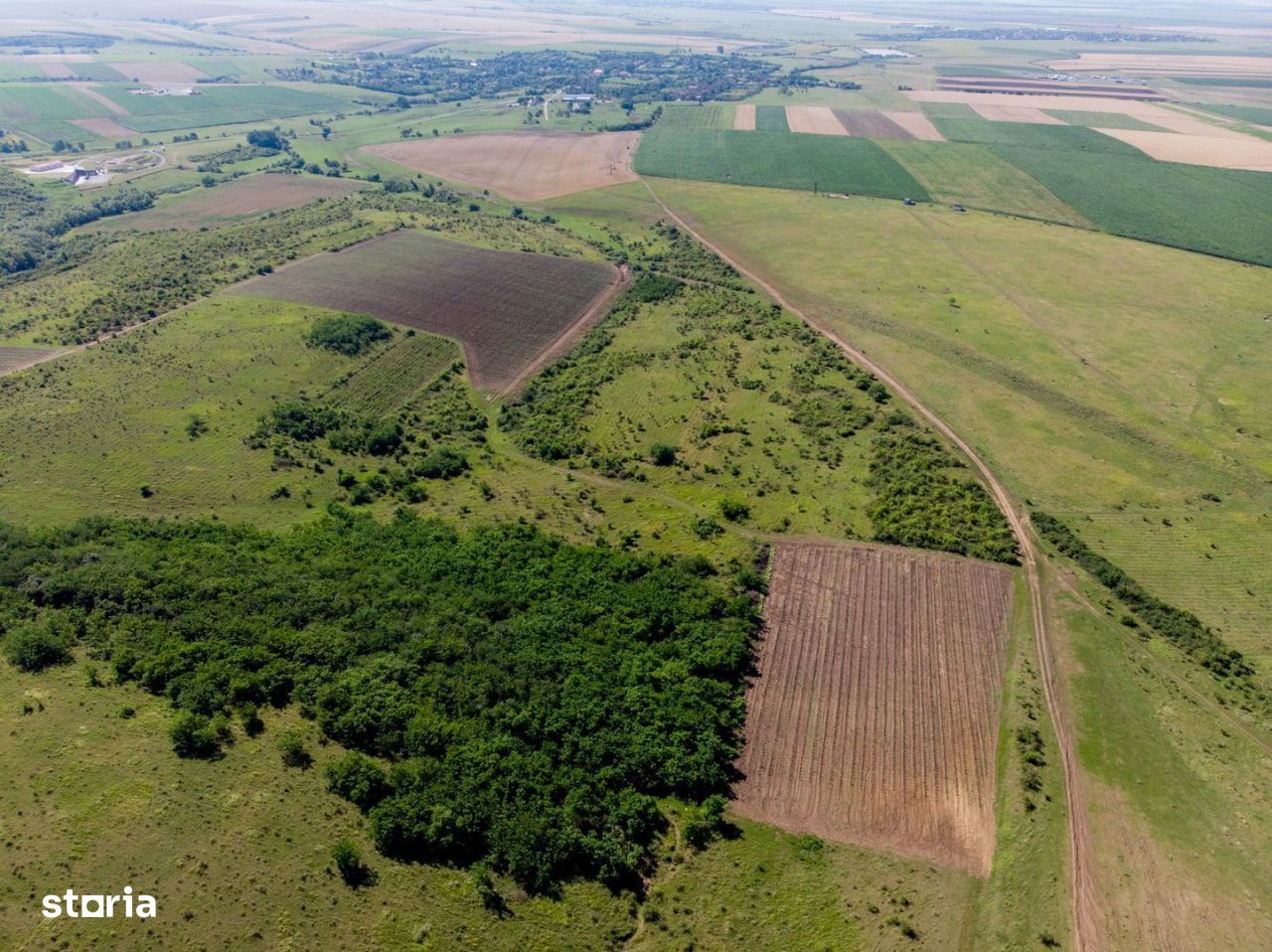 Teren arabil de 147 hectare în Giurgiu