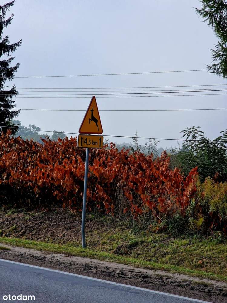 Działka usługowa 5100 m² – Doskonała lokalizacja-7