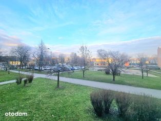 3 niezależne pokoje balkon w zielonej okolicy