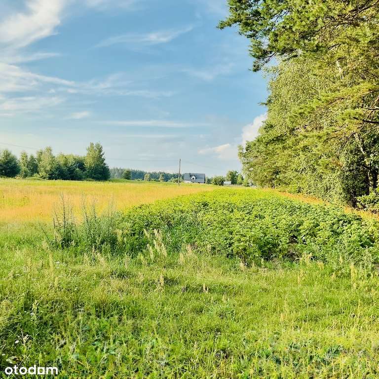 Malownicza działka Garwolin - Pełny obrazek: 4/7