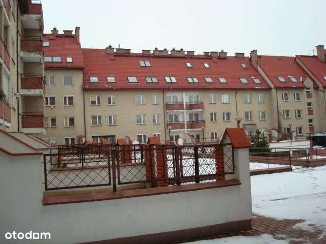 Okazja - Pełny obrazek: 2/2