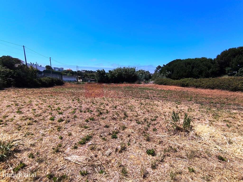 Ericeira - Seixal - Terreno com estudo para 5 moradias isoladas-4
