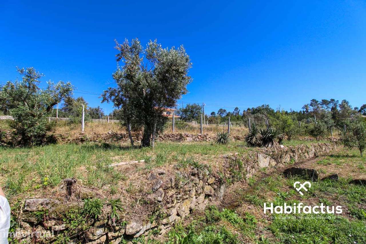 Terreno com viabilidade para construção a 9 km de Mangualde - Grande imagem: 5/6