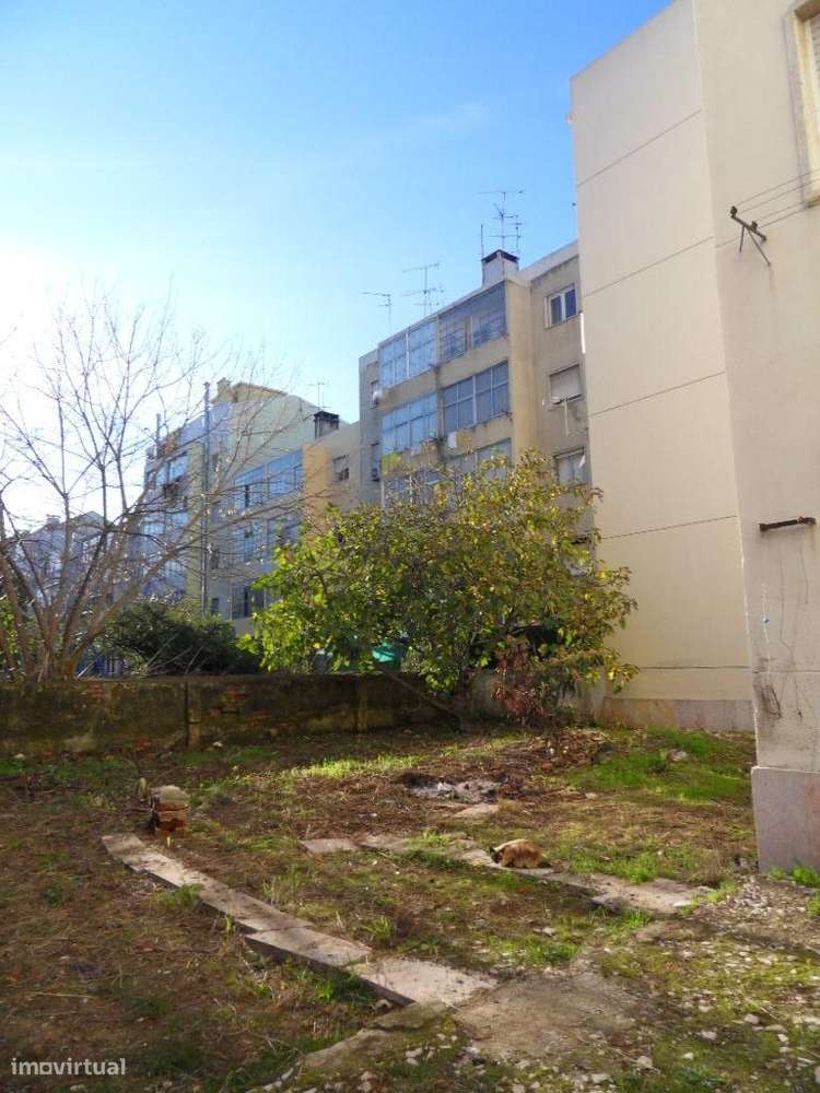 T0, quintal c/240m2, Av. D. Dinis, junto Pingo Doce, Metro Odivelas - Grande imagem: 2/26