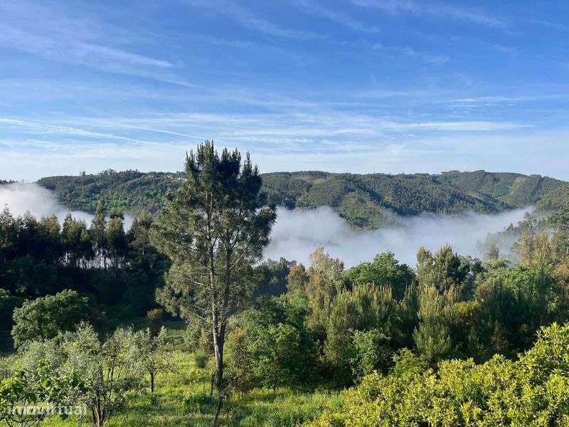 renovated modernized village-edge house, open-plan, veg garden, studio - Grande imagem: 5/11