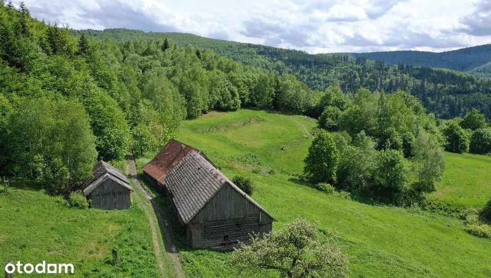 Siedlisko 7ha wraz z domem, góra Mogielica, Cyrla